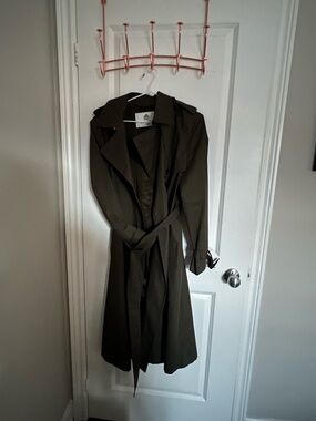 Aritzia trench Coat